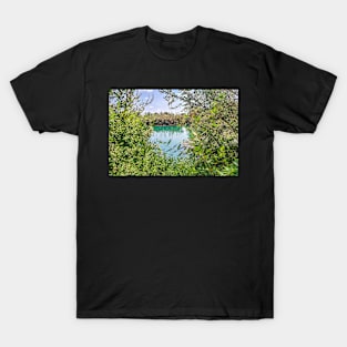 Lake and Leaves View T-Shirt